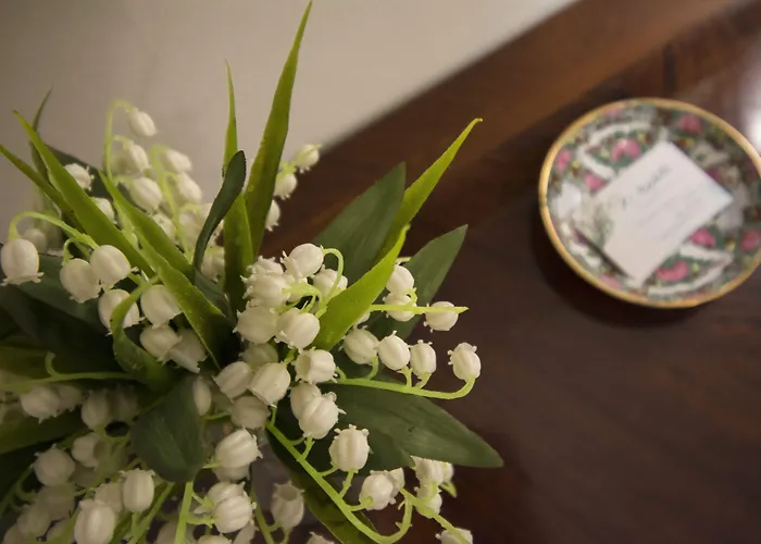 Il Mughetto 3* Bologna