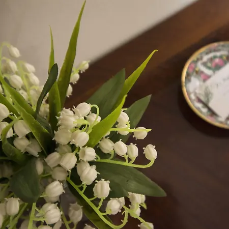 Il Mughetto 3* Bolonya